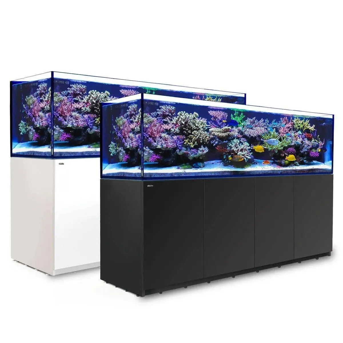 Red Sea Reefer G2 Max 900 White